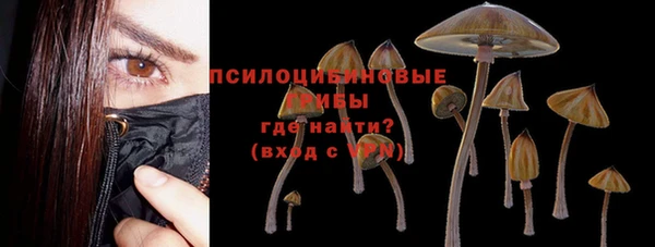 соль курить ск Медногорск